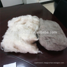 100% worsted combed dehaired cashmere fiber